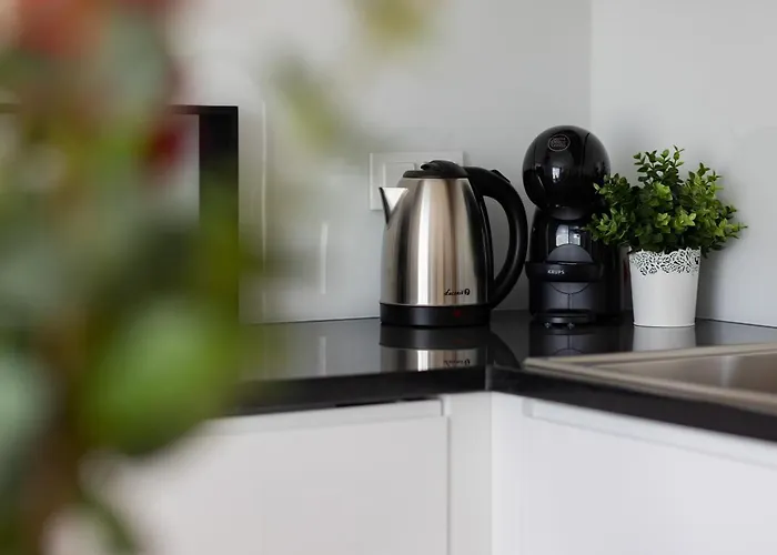 Srodmiescie Bonifraterska By Renters *